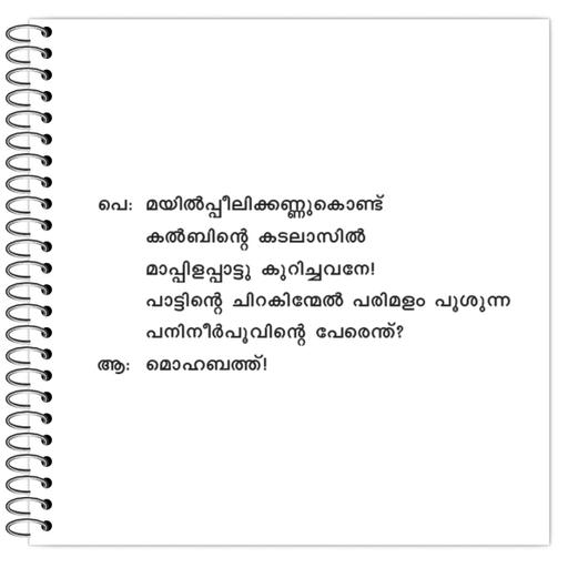 Picture of the product