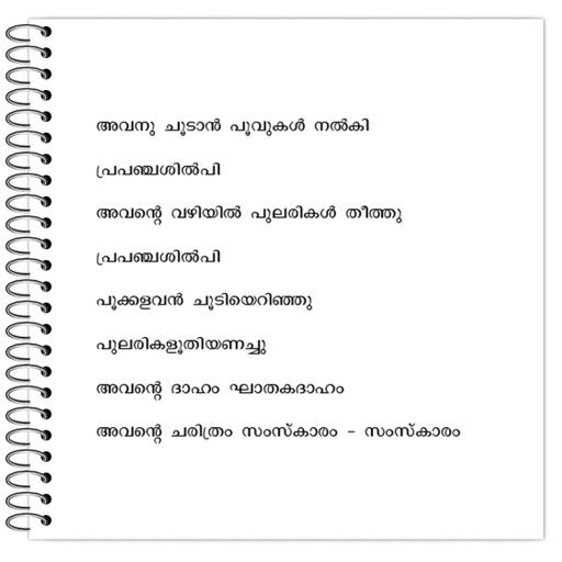 Picture of the product