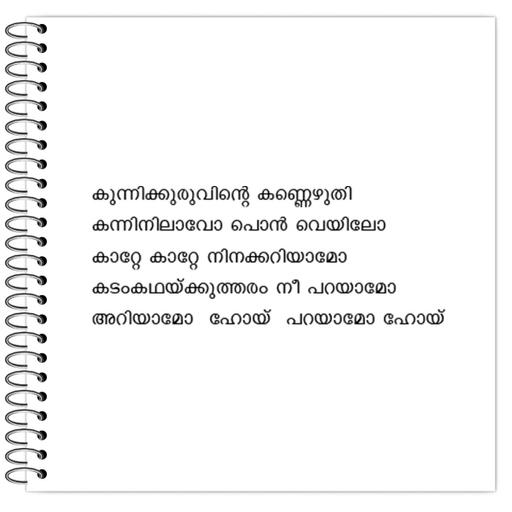 Picture of the product