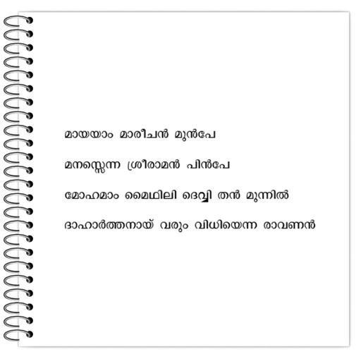 Picture of the product