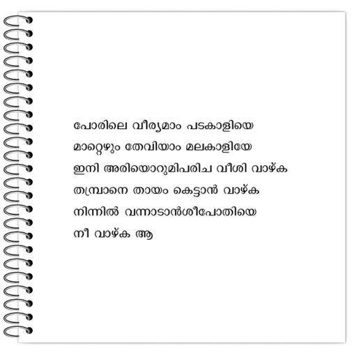 Picture of the product