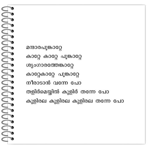 Picture of the product