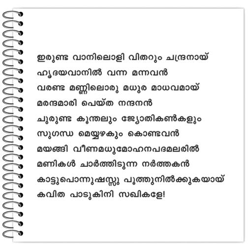 Picture of the product