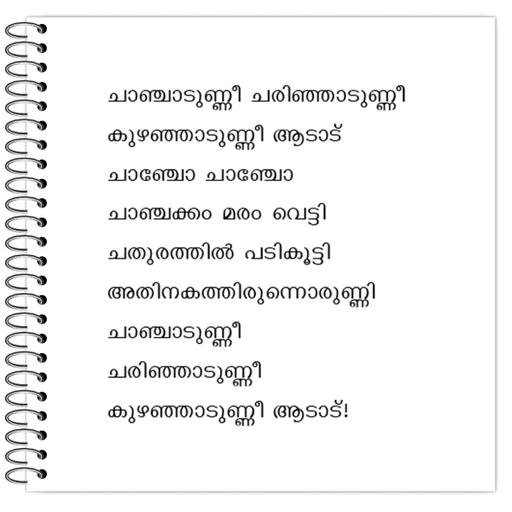 Picture of the product