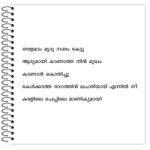 Picture of the product