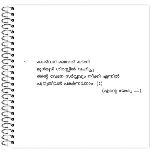 Picture of the product