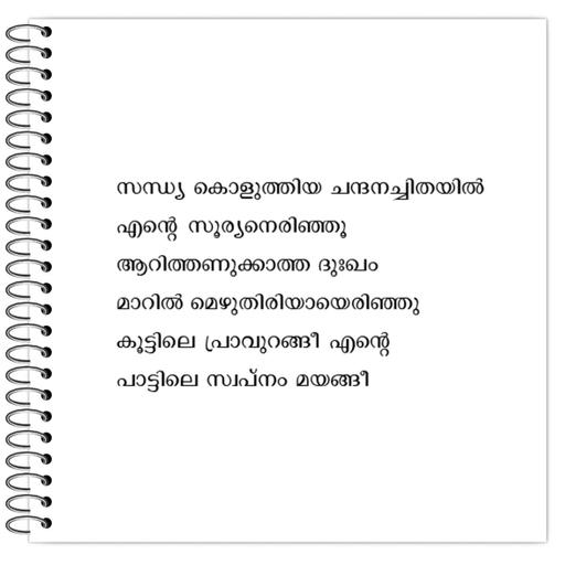 Picture of the product