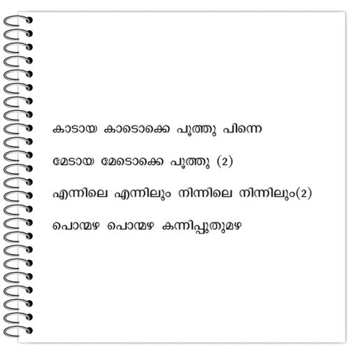 Picture of the product