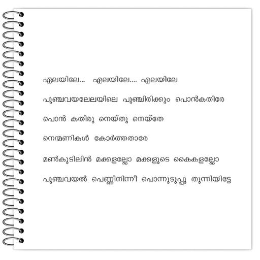 Picture of the product