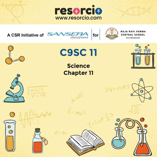 Picture of the product