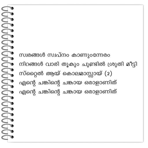 Picture of the product