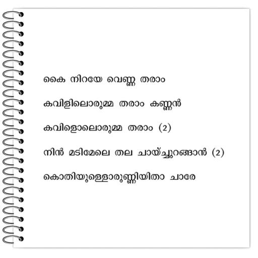 Picture of the product