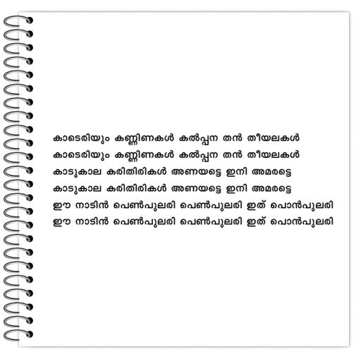 Picture of the product