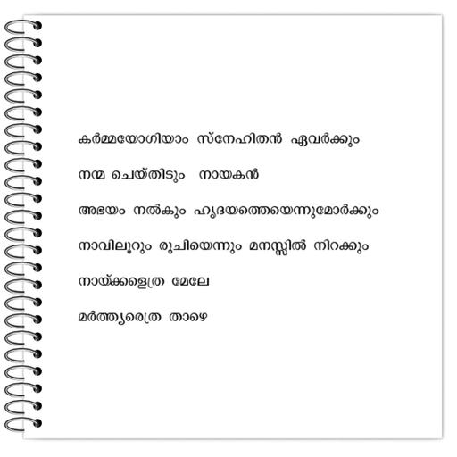 Picture of the product