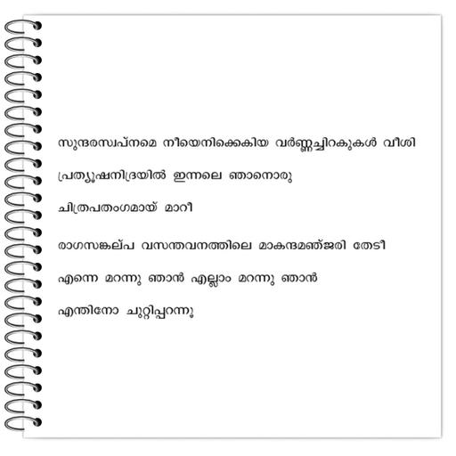 Picture of the product