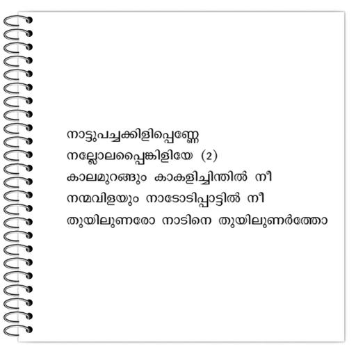 Picture of the product