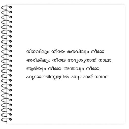 Picture of the product