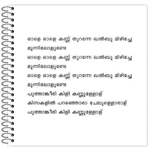 Picture of the product