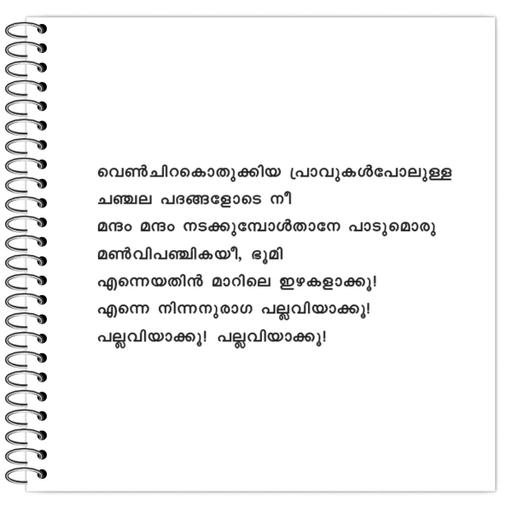 Picture of the product