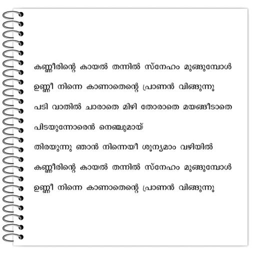 Picture of the product