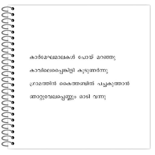 Picture of the product