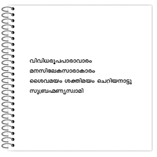 Picture of the product