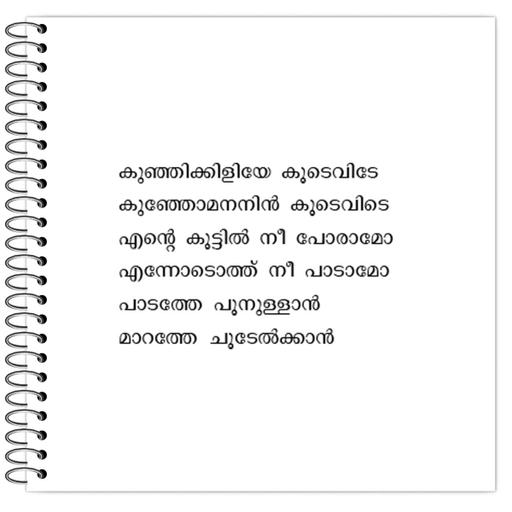 Picture of the product