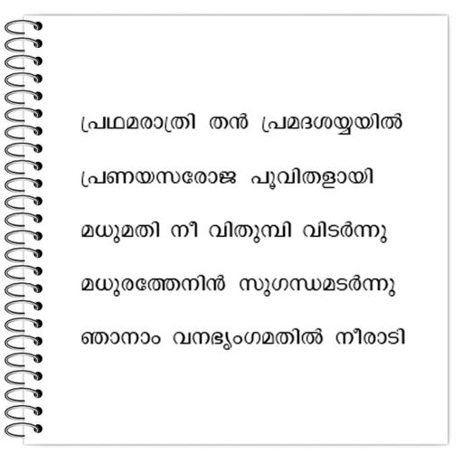 Picture of the product