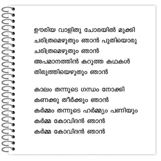 Picture of the product