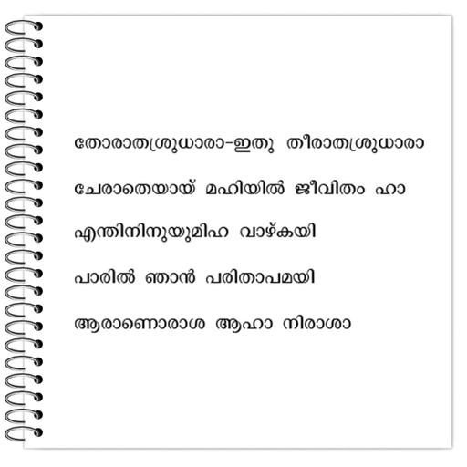 Picture of the product