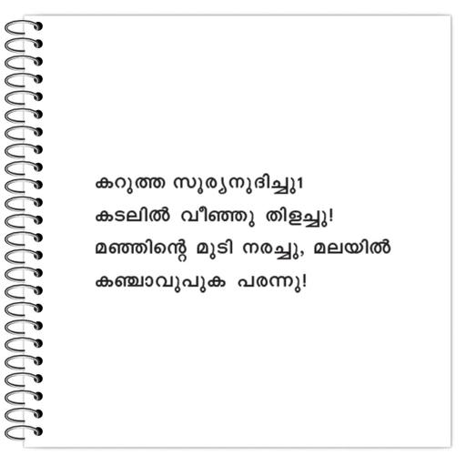 Picture of the product