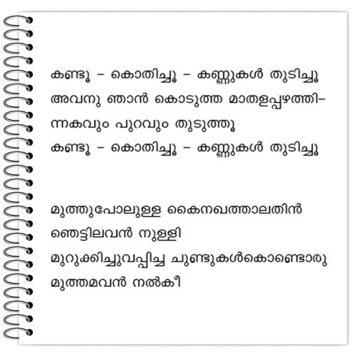 Picture of the product