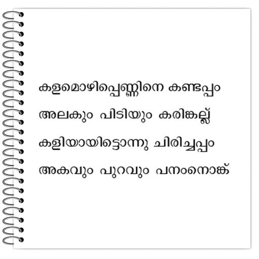 Picture of the product