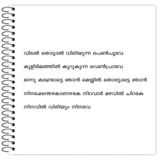 Picture of the product