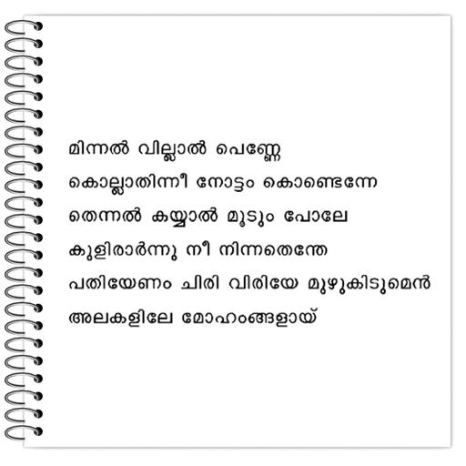 Picture of the product