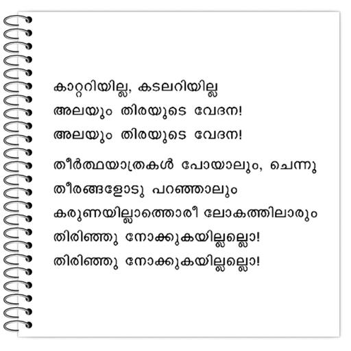 Picture of the product