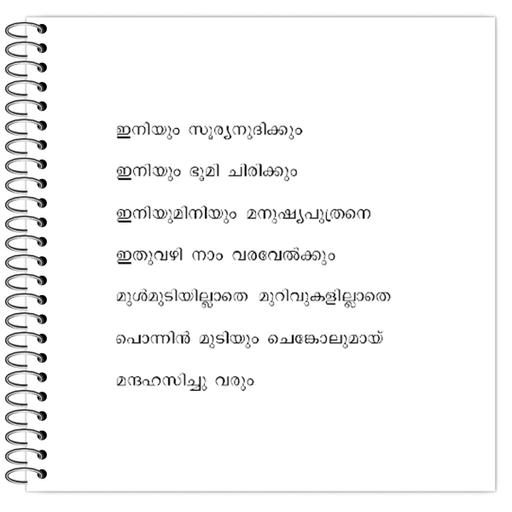 Picture of the product