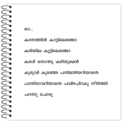 Picture of the product