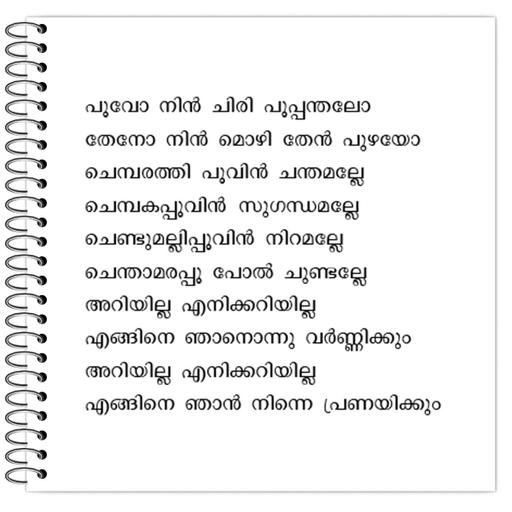 Picture of the product