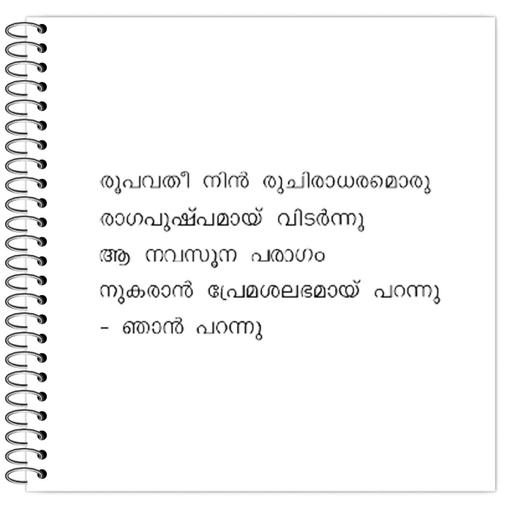 Picture of the product