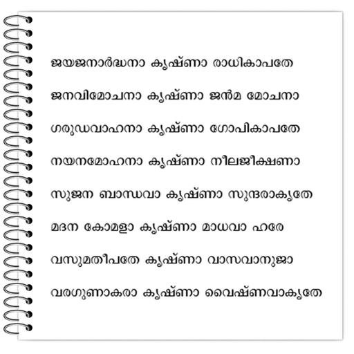 Picture of the product