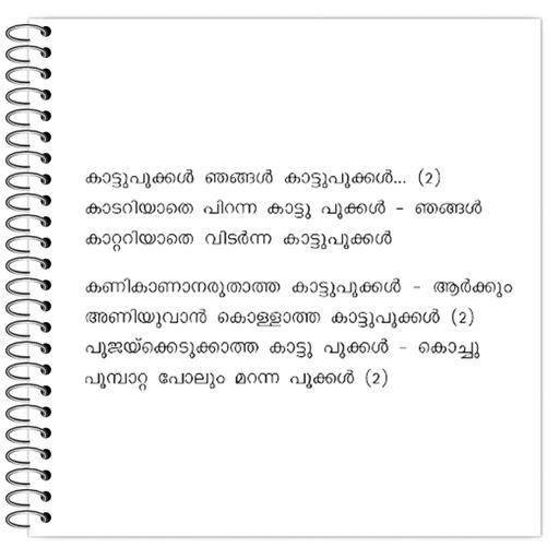 Picture of the product