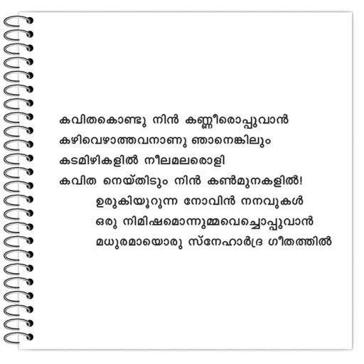 Picture of the product