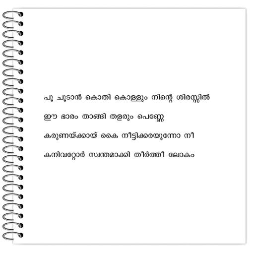 Picture of the product