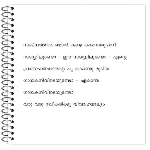 Picture of the product