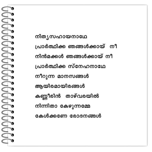 Picture of the product