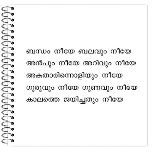 Picture of the product