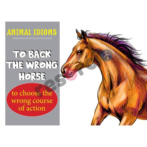 Picture of the product