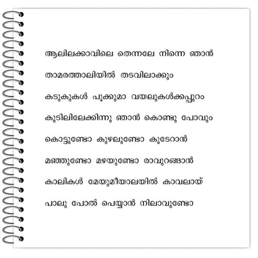 Picture of the product