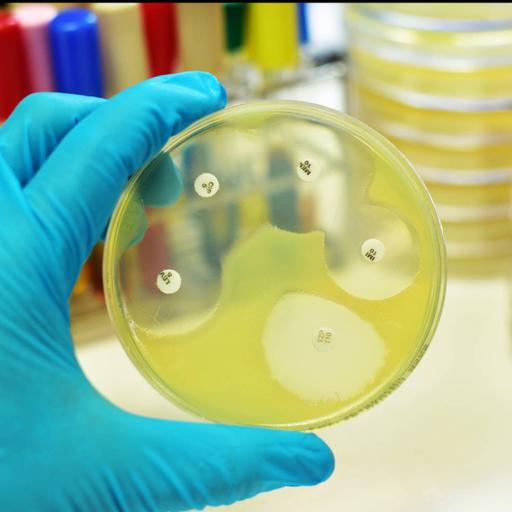 Picture of the product